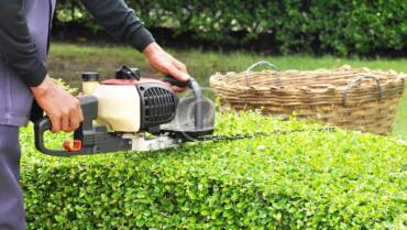 Hedge Trimming